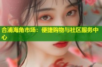 合浦海角市场：便捷购物与社区服务中心