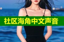 社区海角中文声音